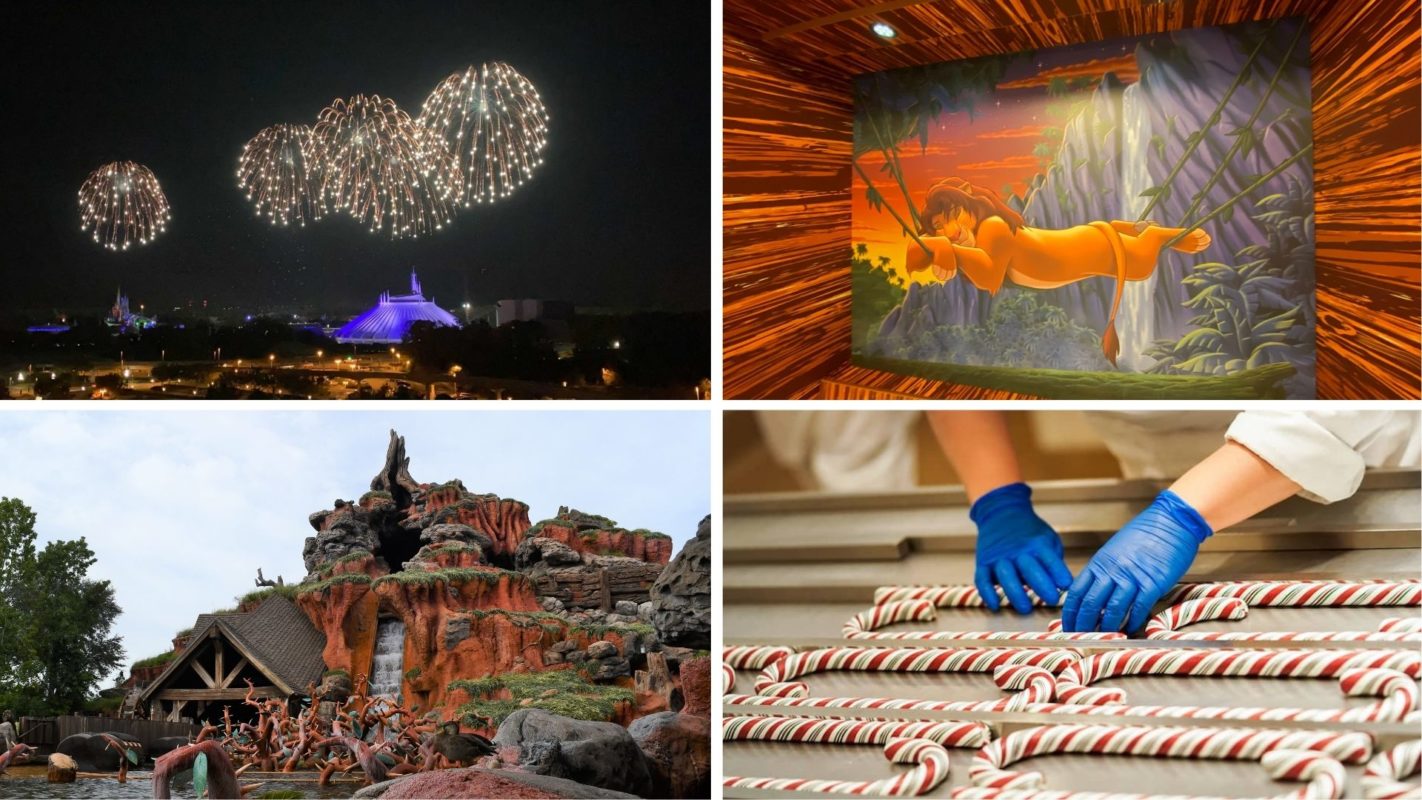 wdwnt-daily-recap-11-17-20