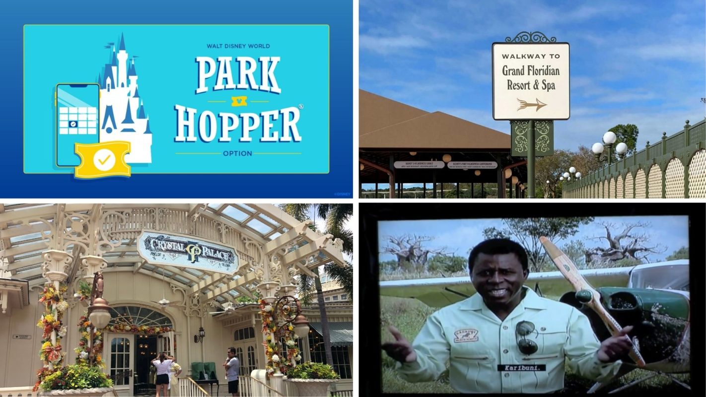 wdwnt-daily-recap-11-20-20