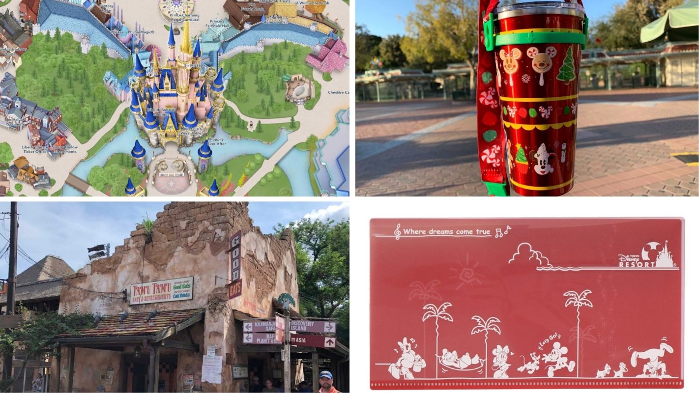 wdwnt-daily-recap-11-24-20