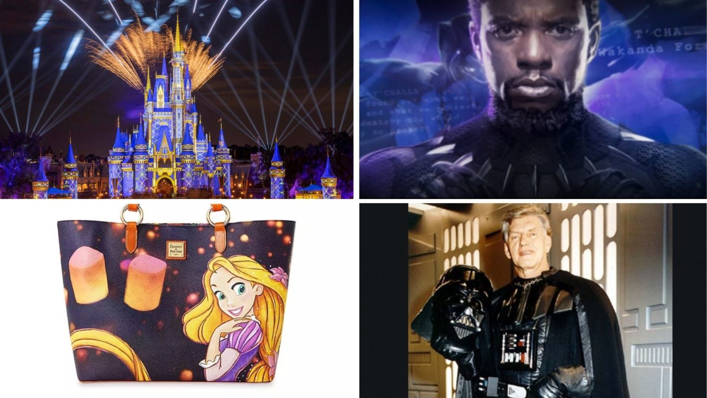 wdwnt-daily-recap-11-29-20
