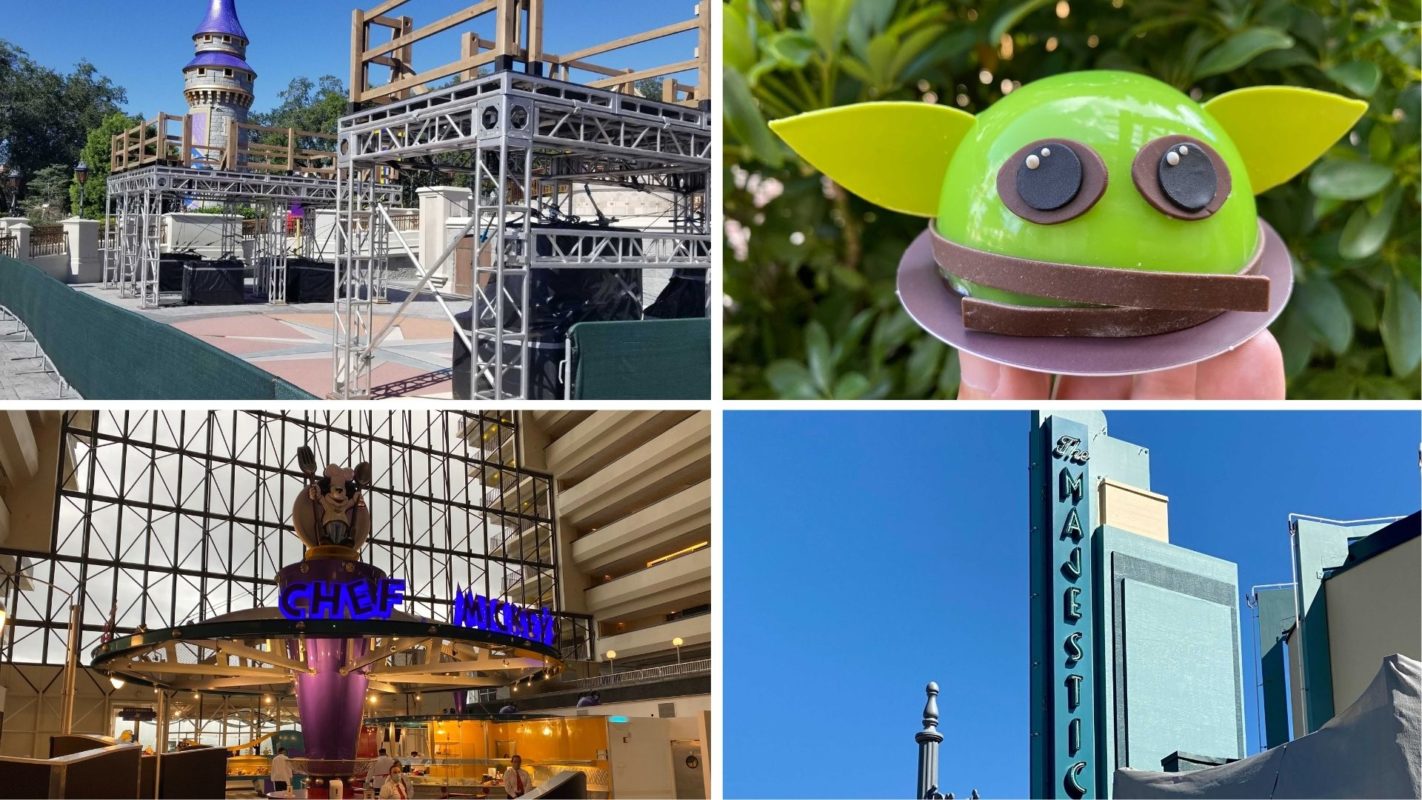 wdwnt-daily-recap-11-3-20