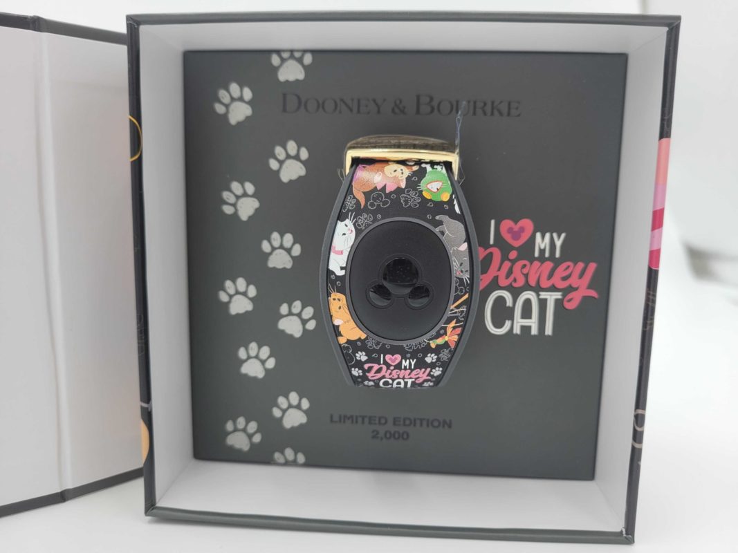 cats-dooney-magicband-126