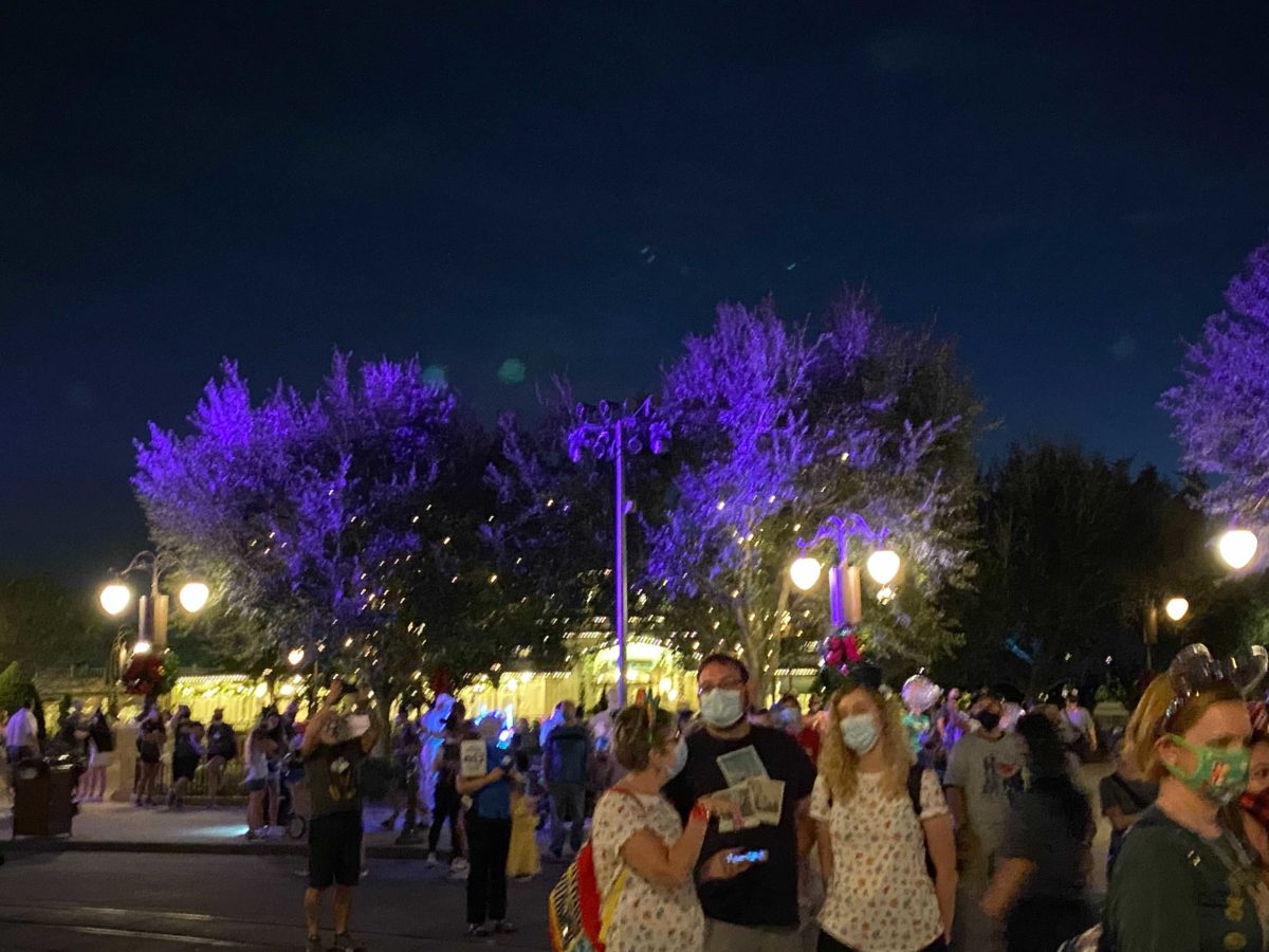 cinderella-castle-projections-christmas-2020_15-3301586