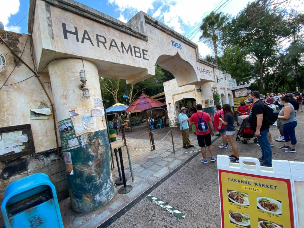 harambe-market-reopens-2