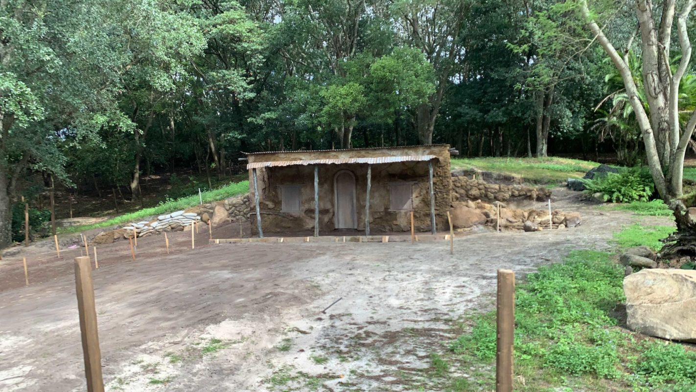 kilimanjaro-safaris-goat-exhibit-construction-november-7-2020-13