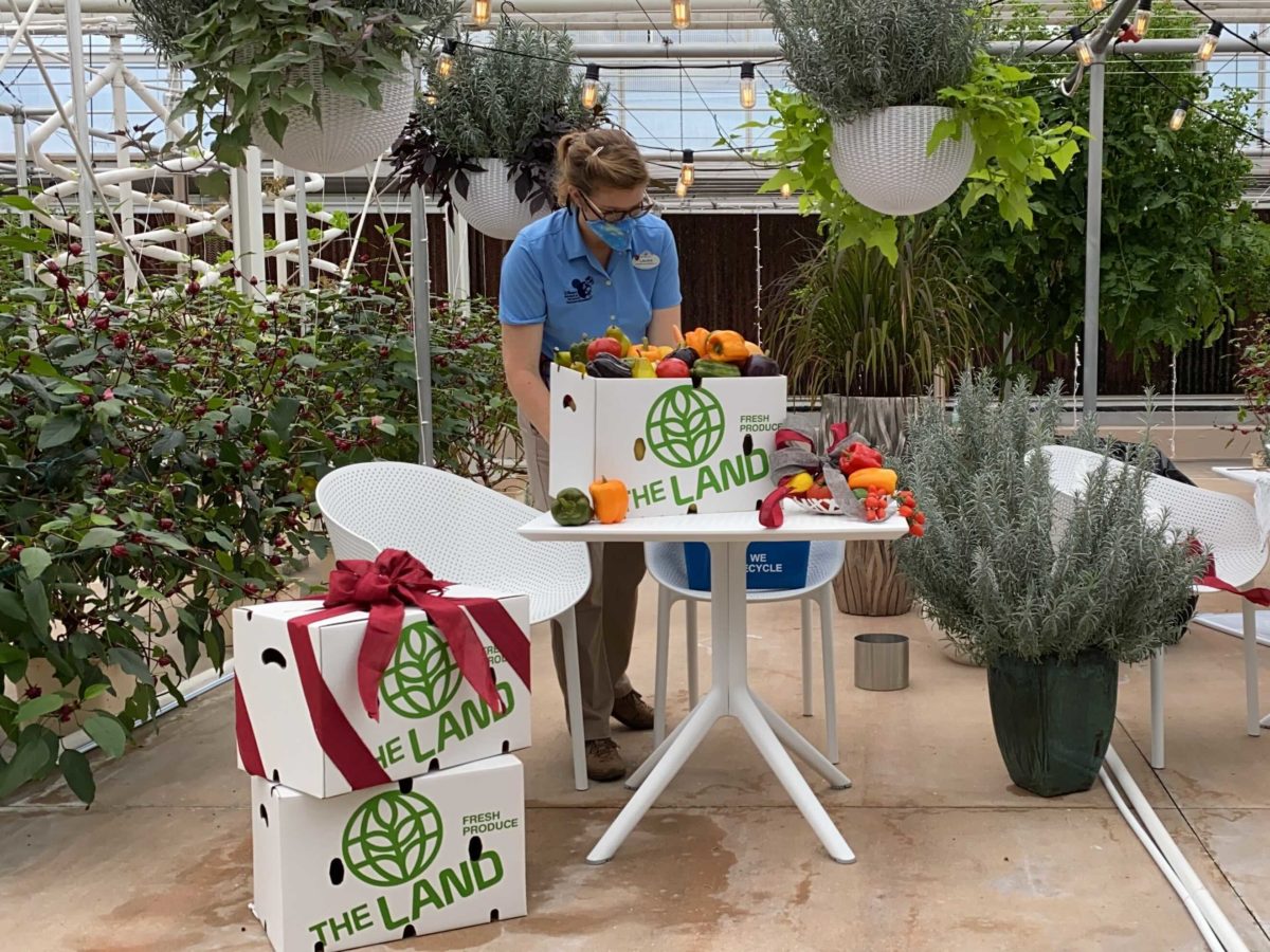 living-with-the-land-holiday-decorations-installation-30