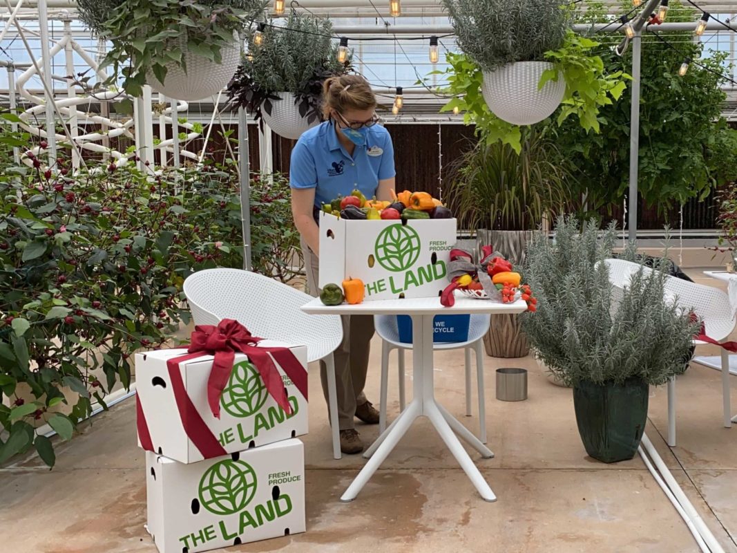 living-with-the-land-holiday-decorations-installation-30