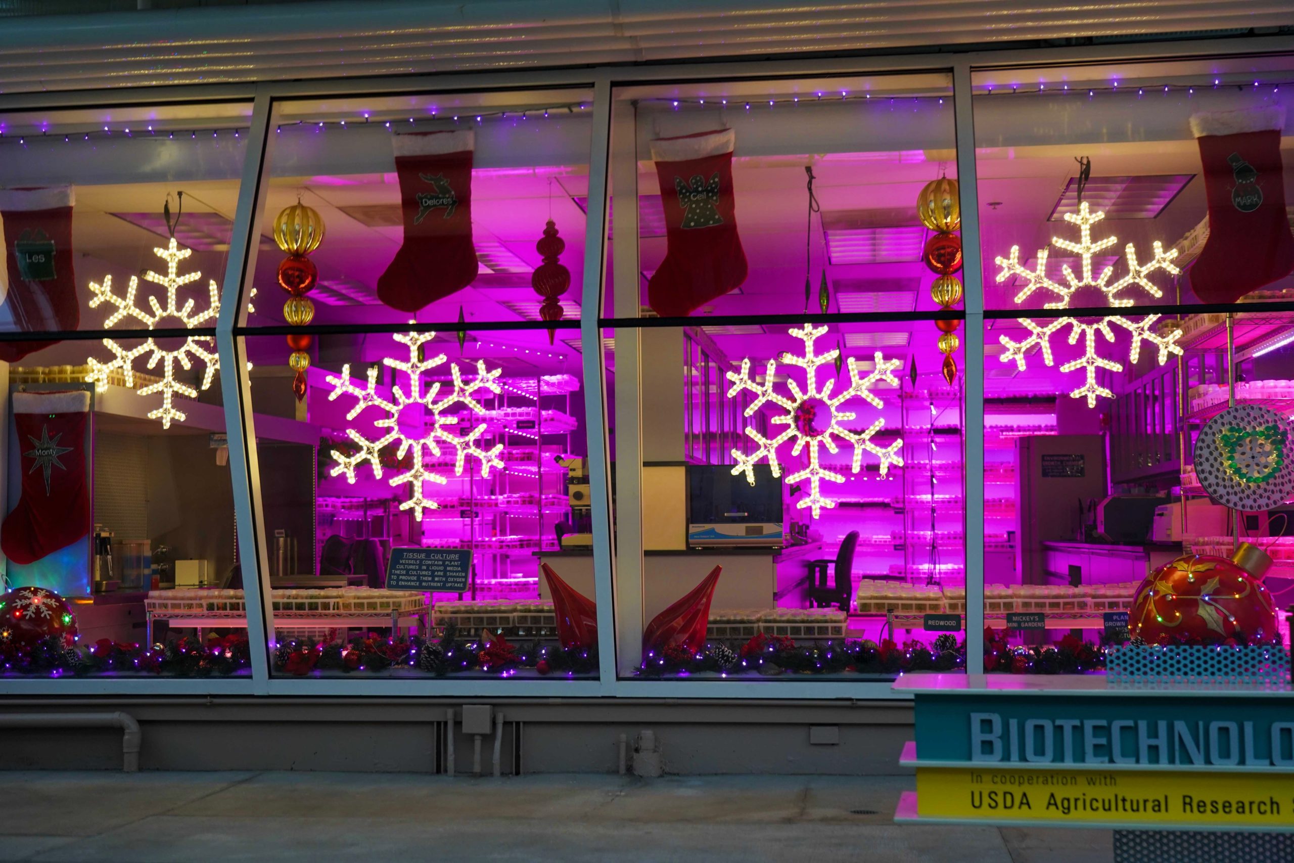 living-with-the-land-holiday-lights-debut-22-edited