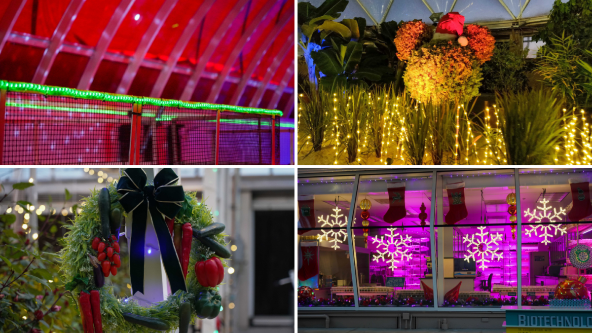 living-with-the-land-holiday-lights-debut-featured
