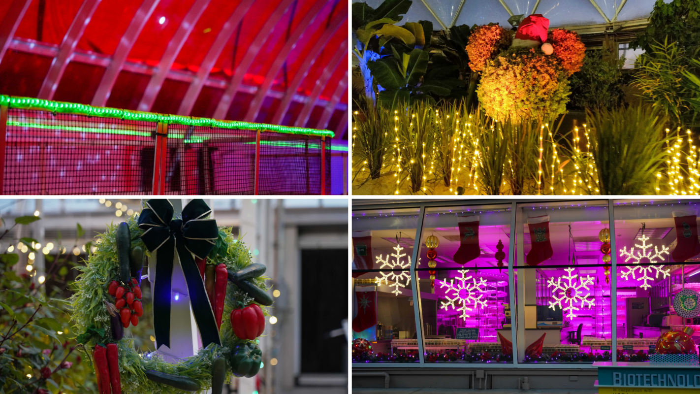 living-with-the-land-holiday-lights-debut-featured