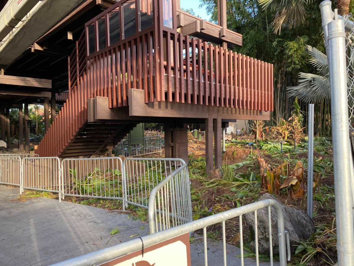 polynesian-11-17-20