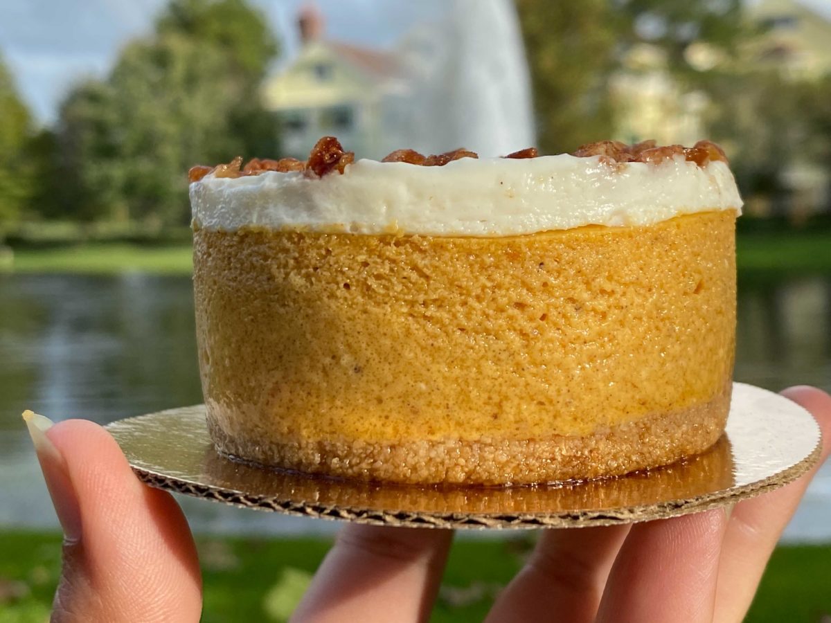 pumpkin-cheesecake-6-2