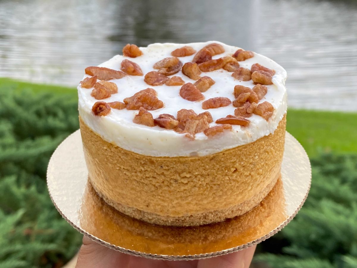 pumpkin-cheesecake-9-2