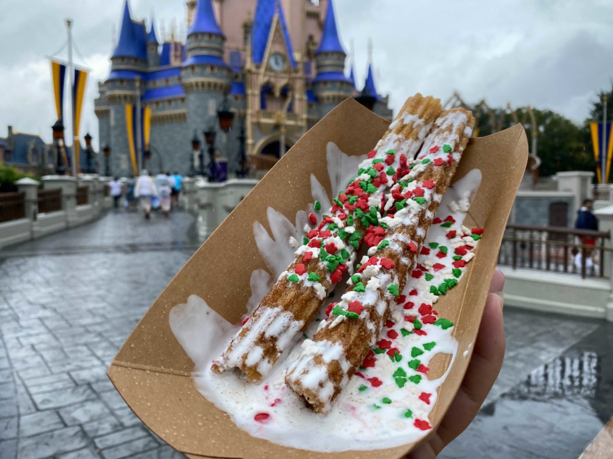 sugar-and-spice-churros-20