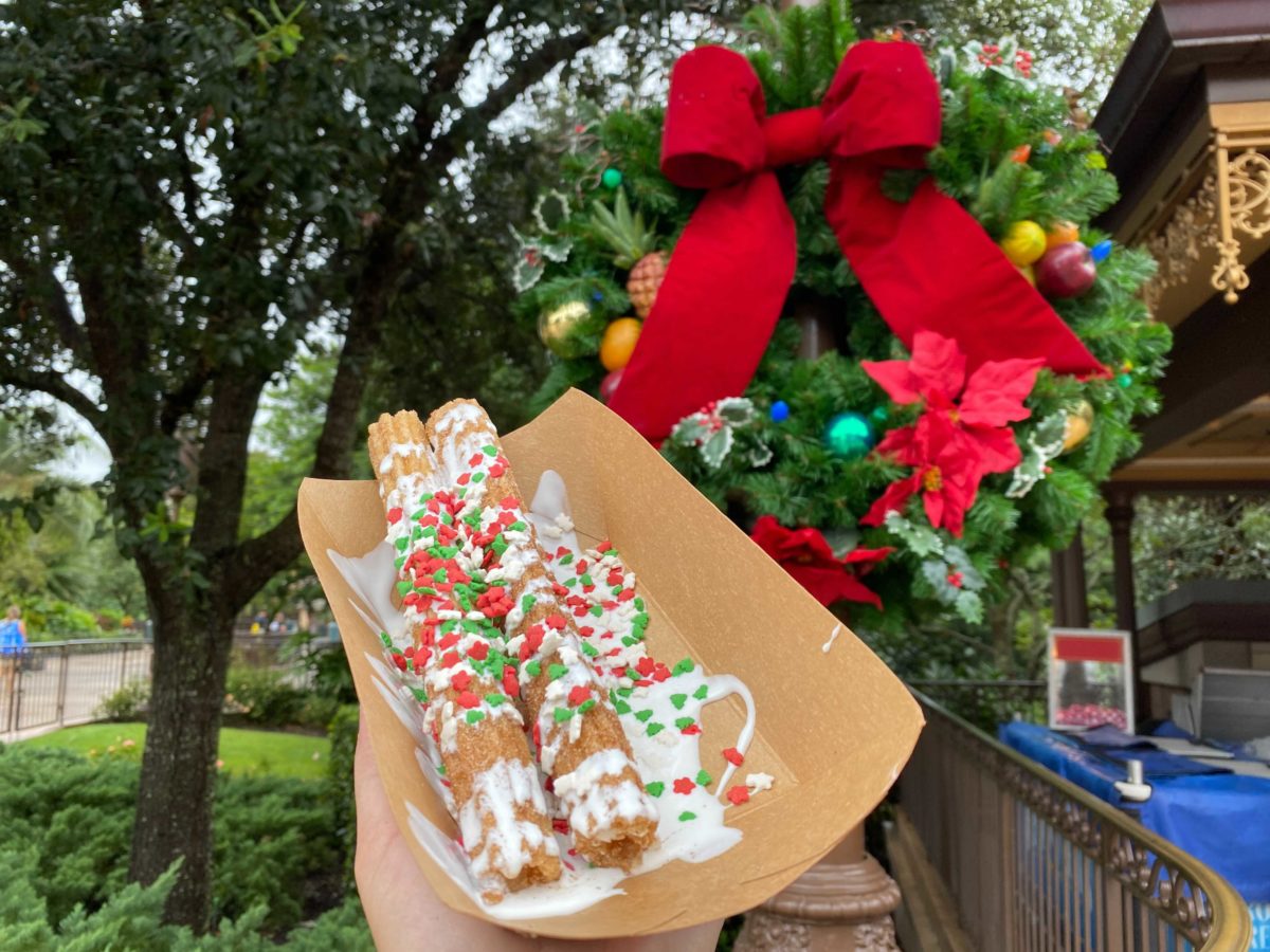 sugar-and-spice-churros-5