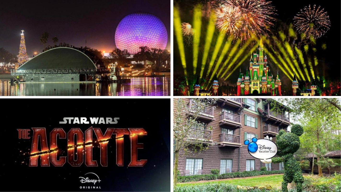 wdwnt-daily-recap-12-11-20