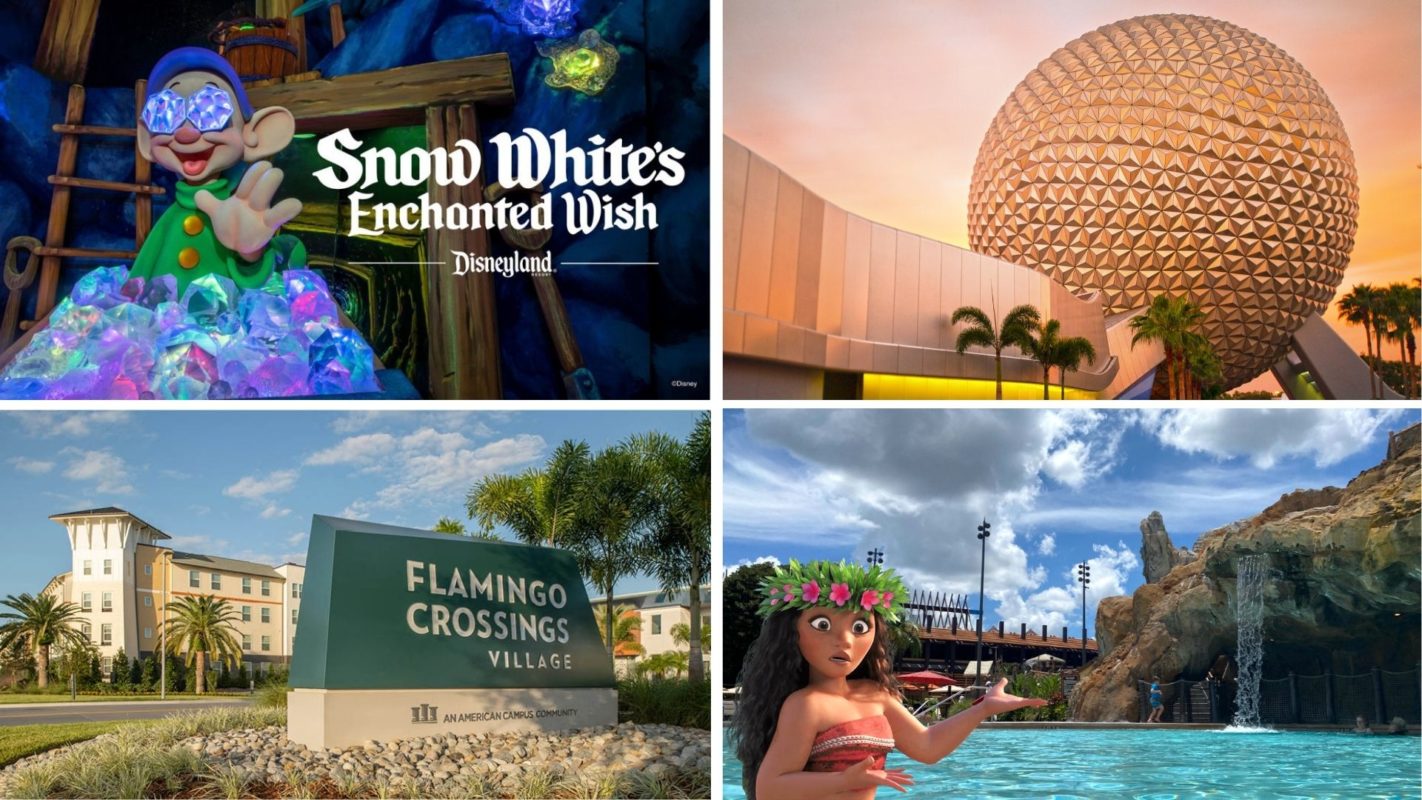 wdwnt-daily-recap-12-21-20