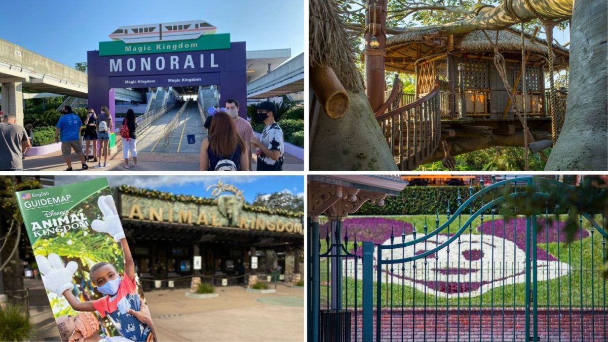 wdwnt-daily-recap-12-29-20