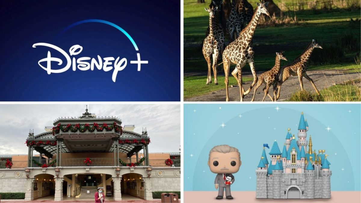 wdwnt-daily-recap-12-4-20