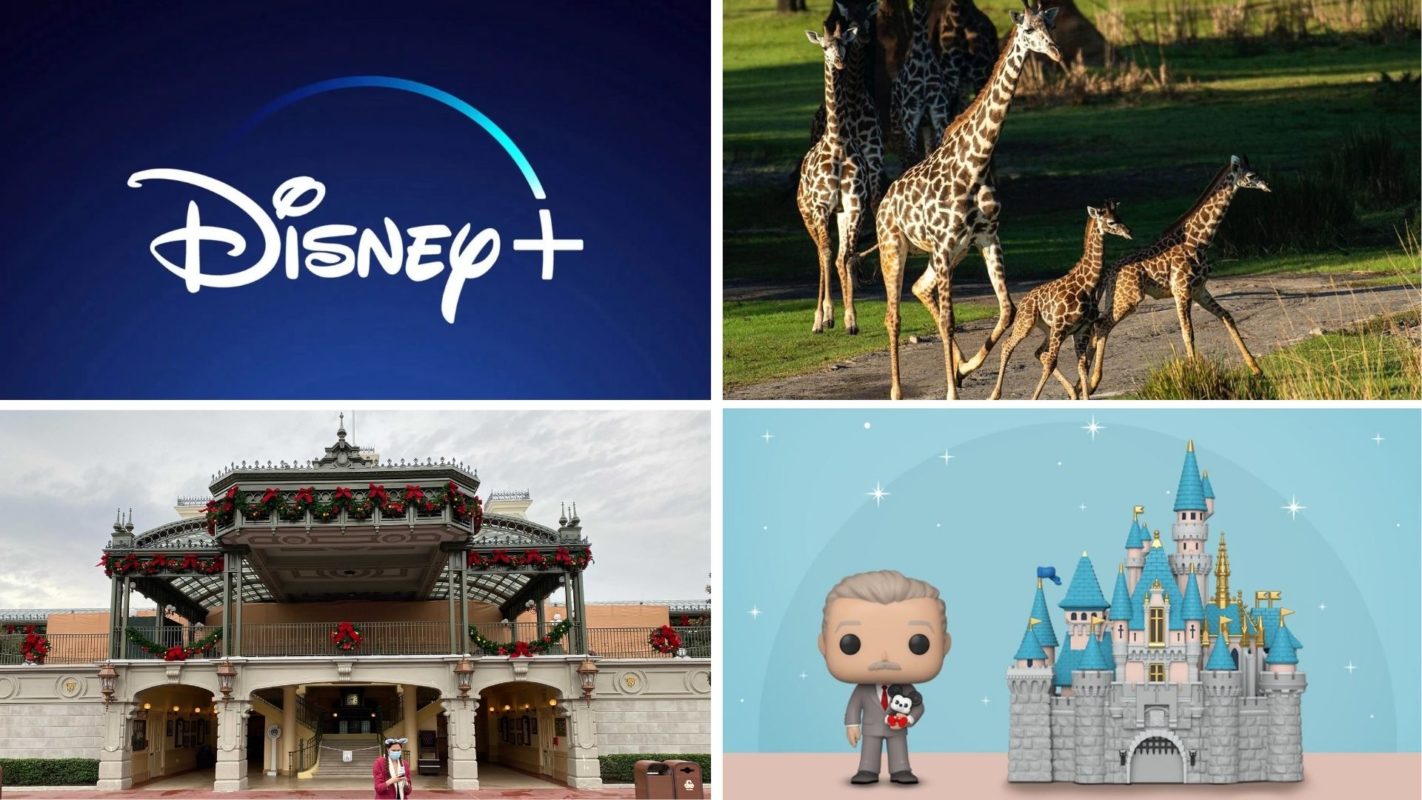 wdwnt-daily-recap-12-4-20