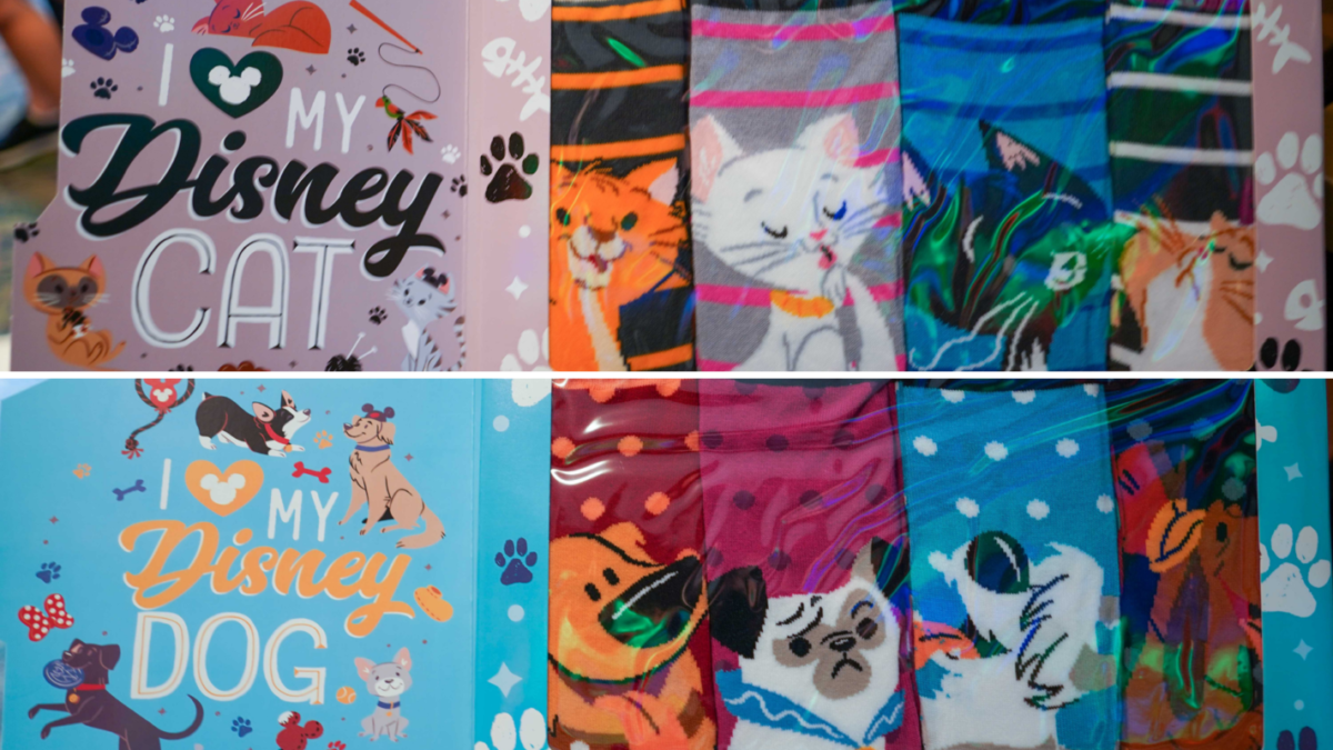 cats-dogs-socks