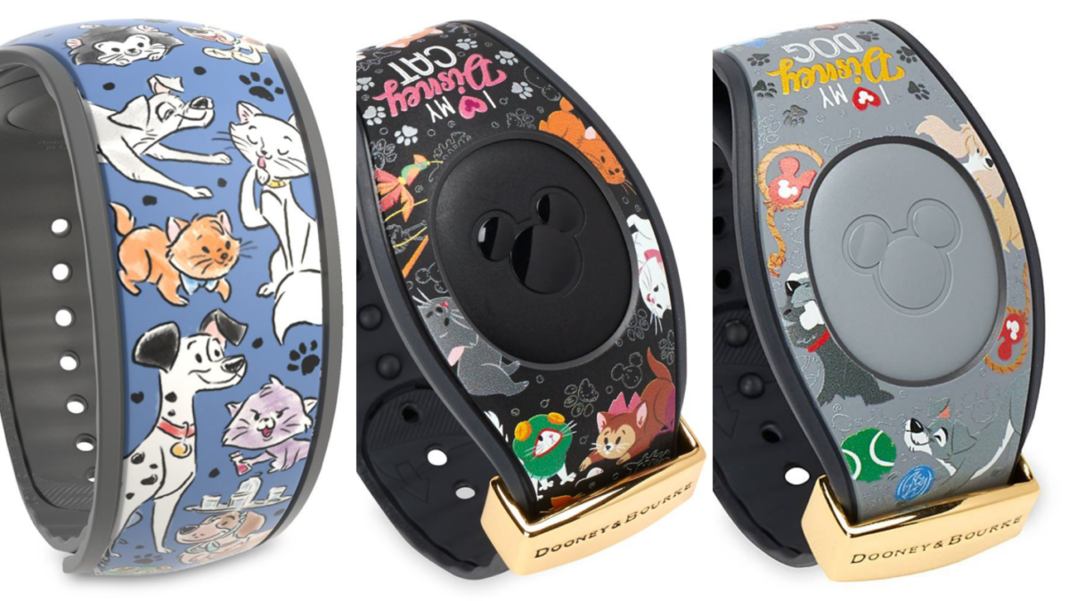 dogs-cats-magicband