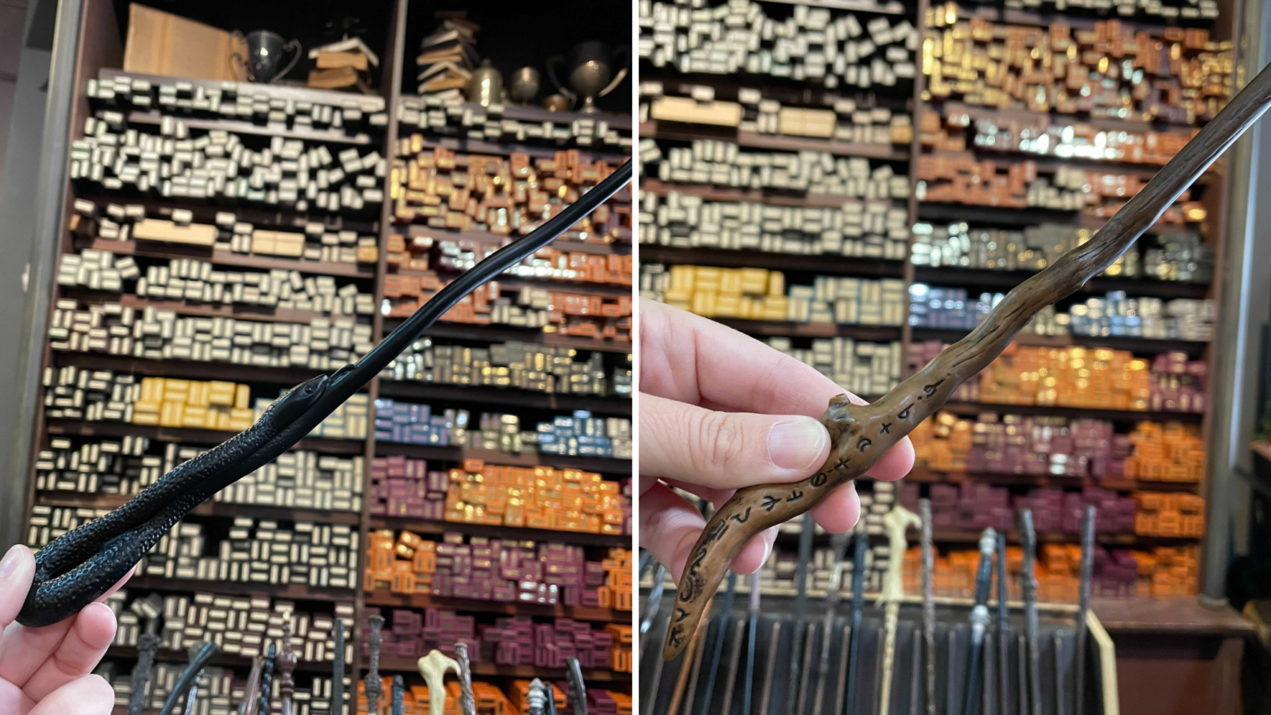 gregorovitch-peter-pettigrew-wands-14