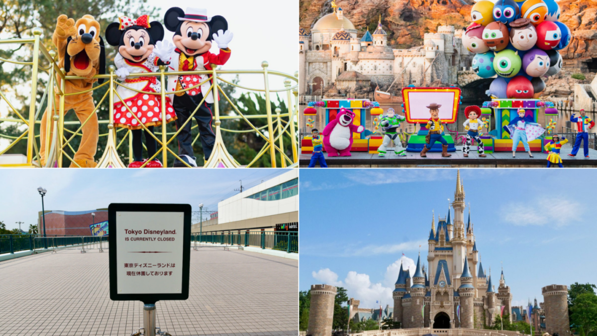 tdr-year-in-review