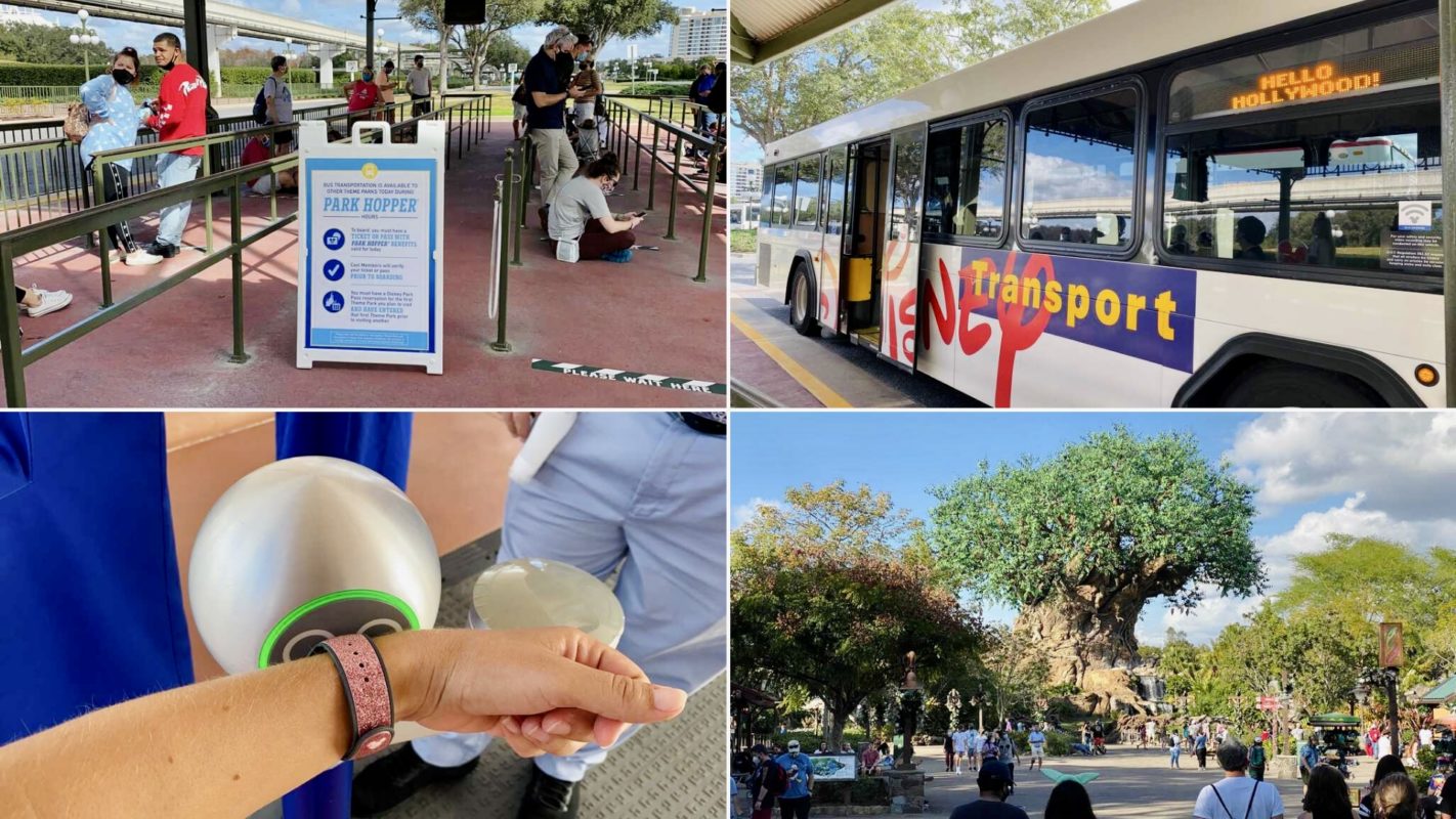 a0cc157c-4f41-4848-be49-eca645425fdf