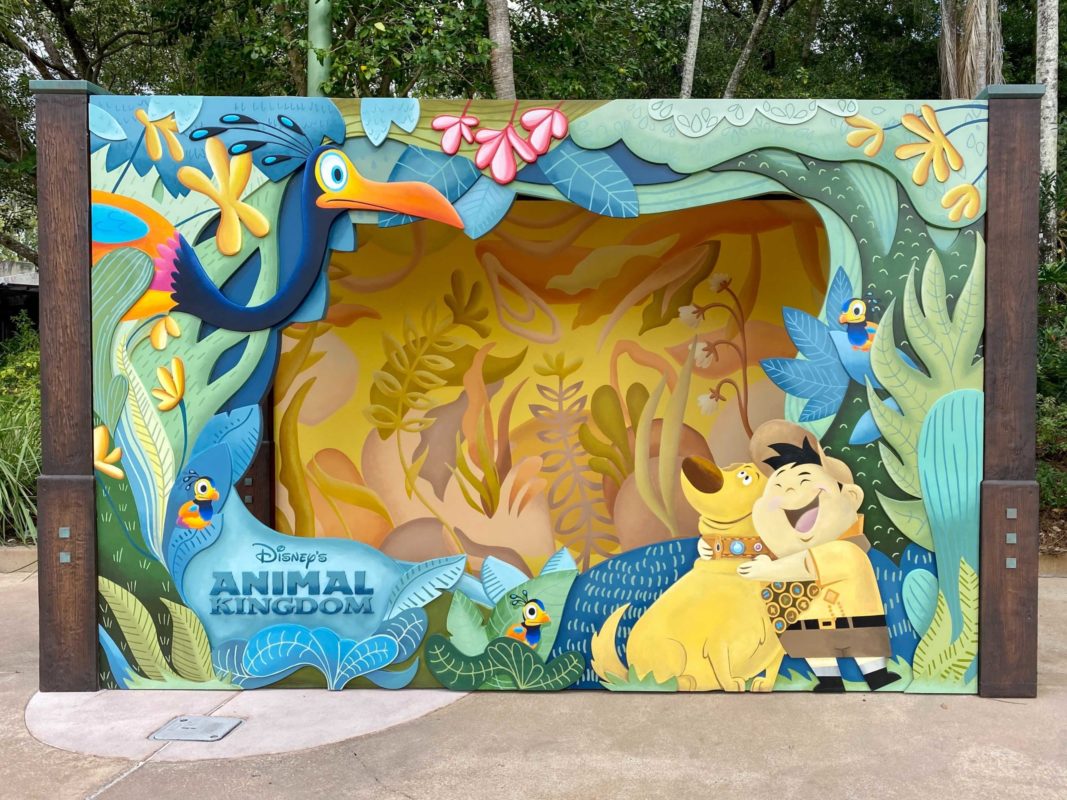 animal-kingdom-up-photopass-photo-op-8-1445441