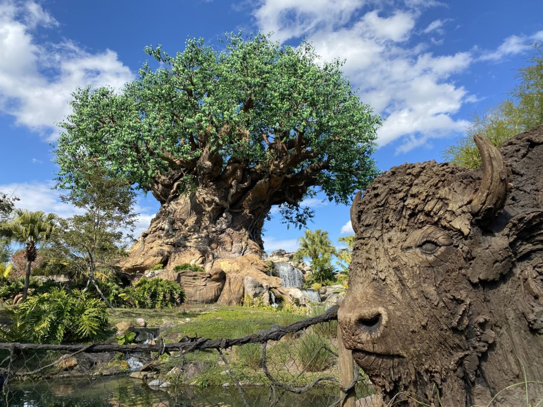 tree-of-life-featured-image-hero-animal-kingdom-01222021-4103898