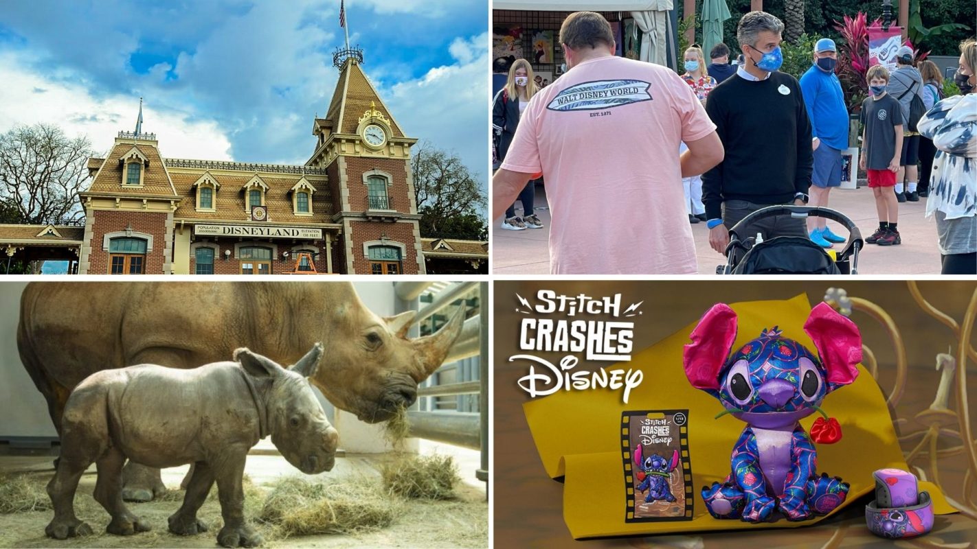 wdwnt-daily-recap-1-12-21