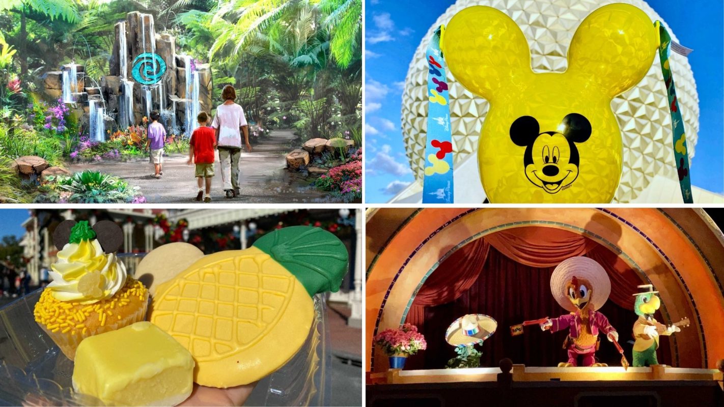 wdwnt-daily-recap-1-5-21