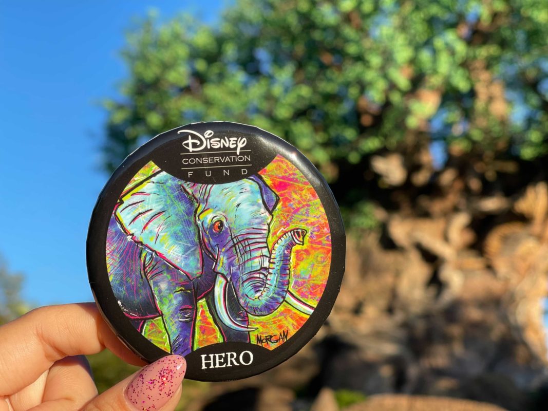 conservation-button-1