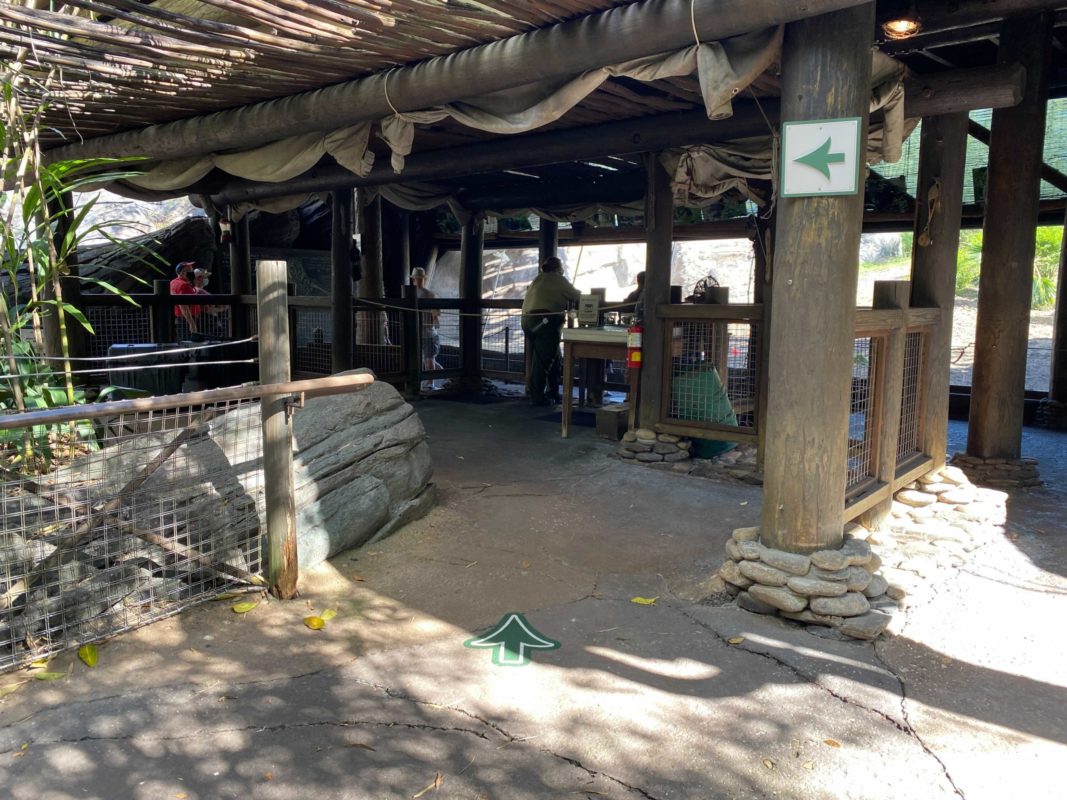 gorilla-falls-exploration-trail-9