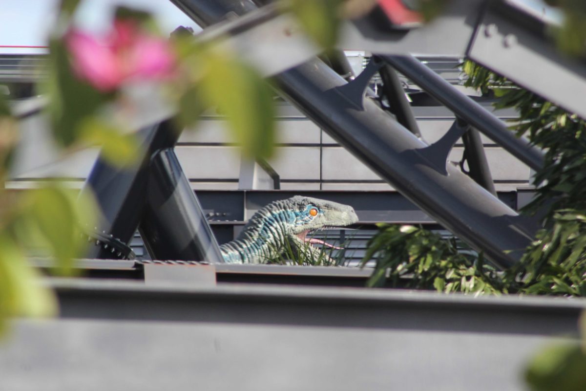 velocicoaster-raptor-0