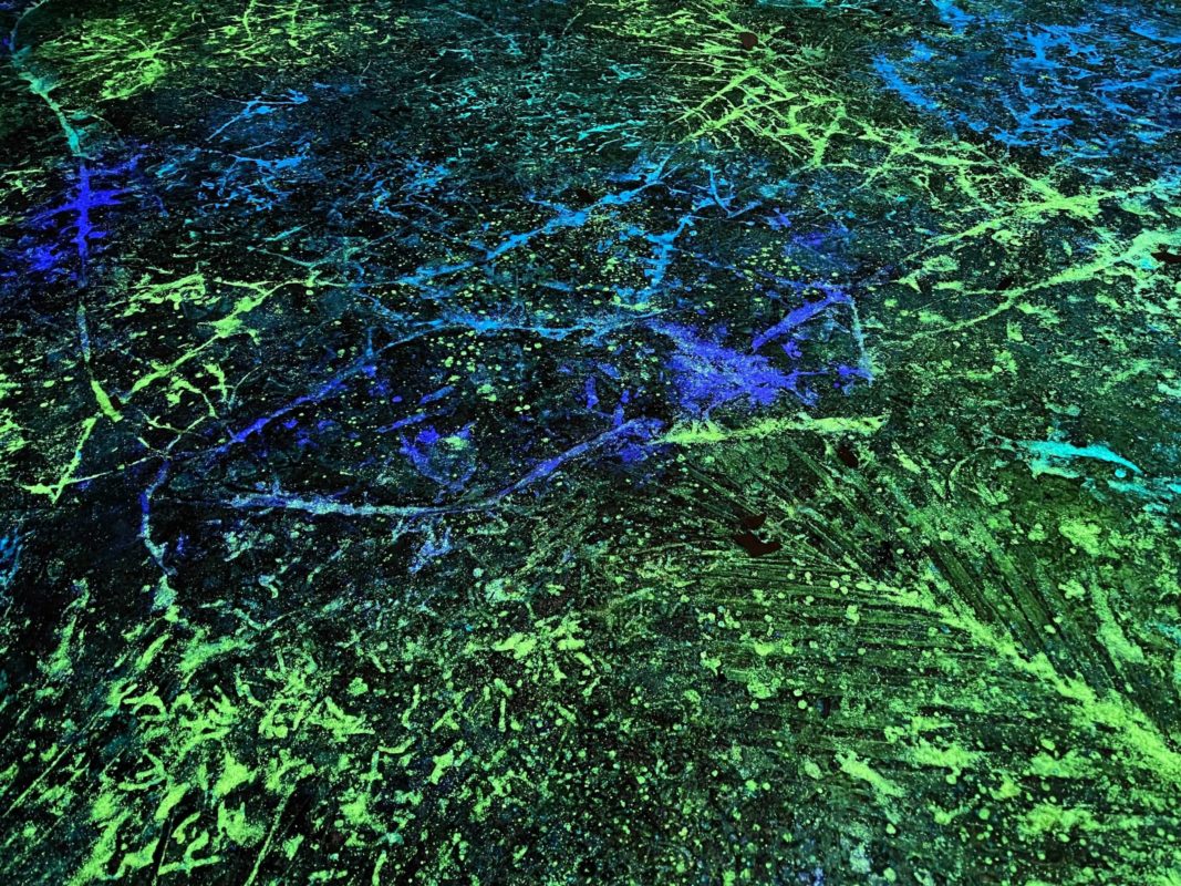 disneys-animal-kindom_pandora_glow-in-the-dark_pavement_refresh-01-1832890