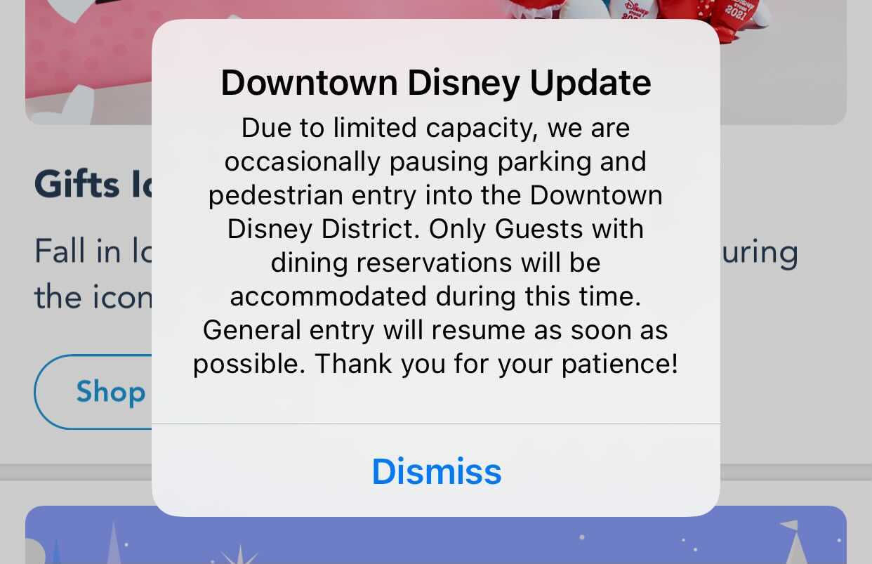 downtown-disney-district-capacity-2232727