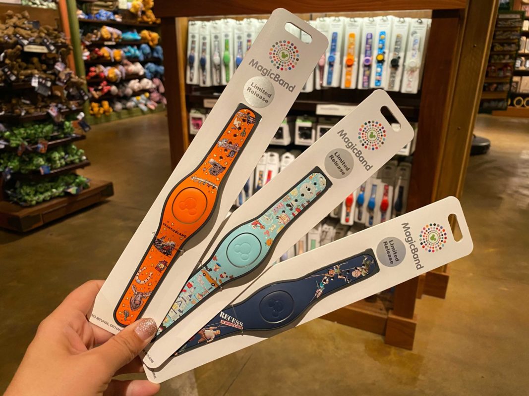 Recess Frontierland park icons limited release magicbands