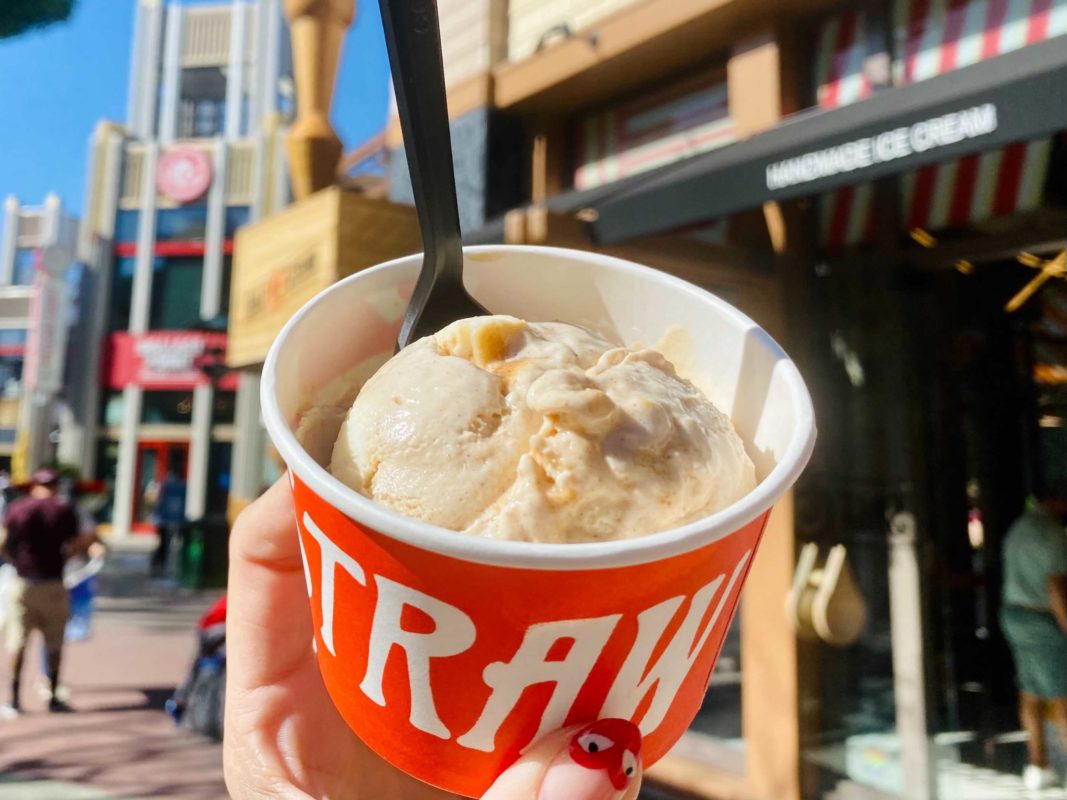 Cinnatopia Cinnamon Bun Ice Cream salt and straw