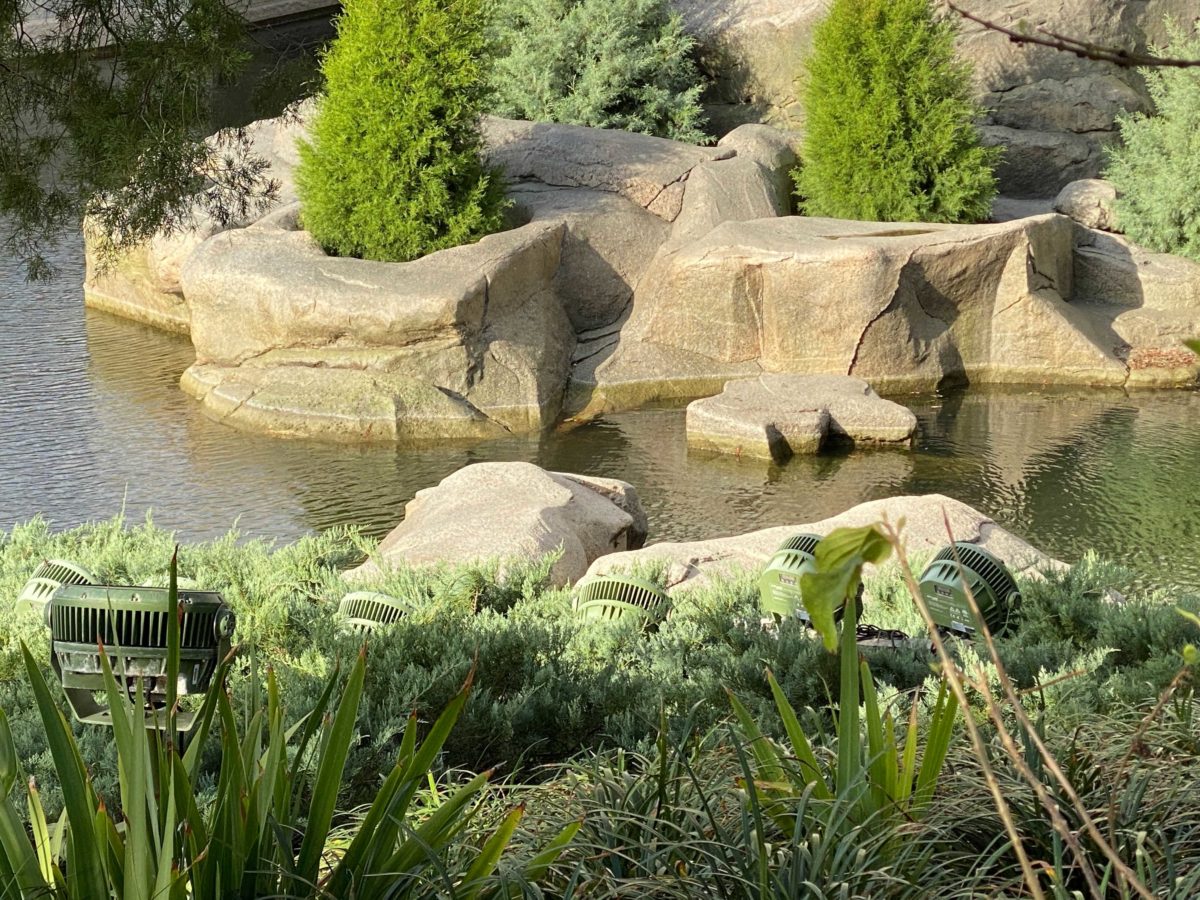 magic-kingdom-moat-draining-5