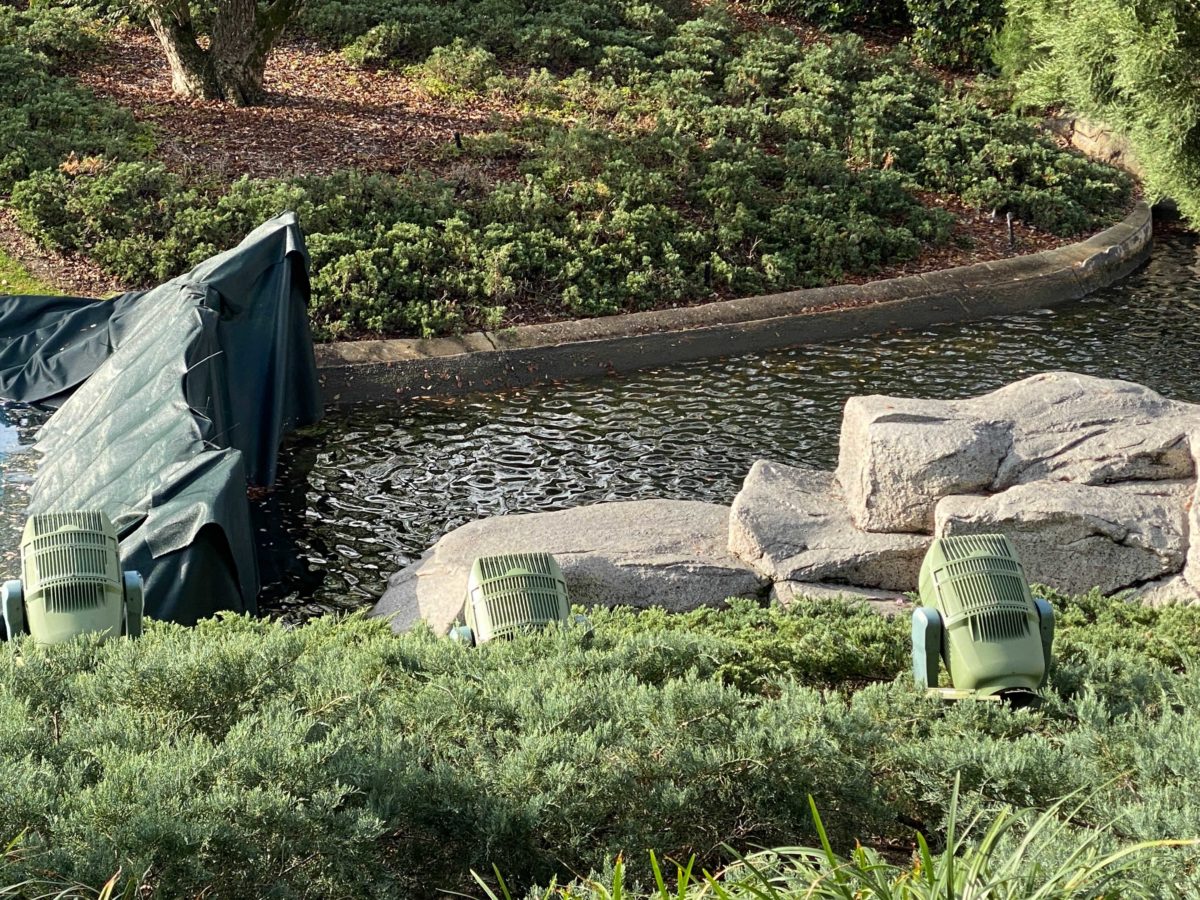 magic-kingdom-moat-draining-6