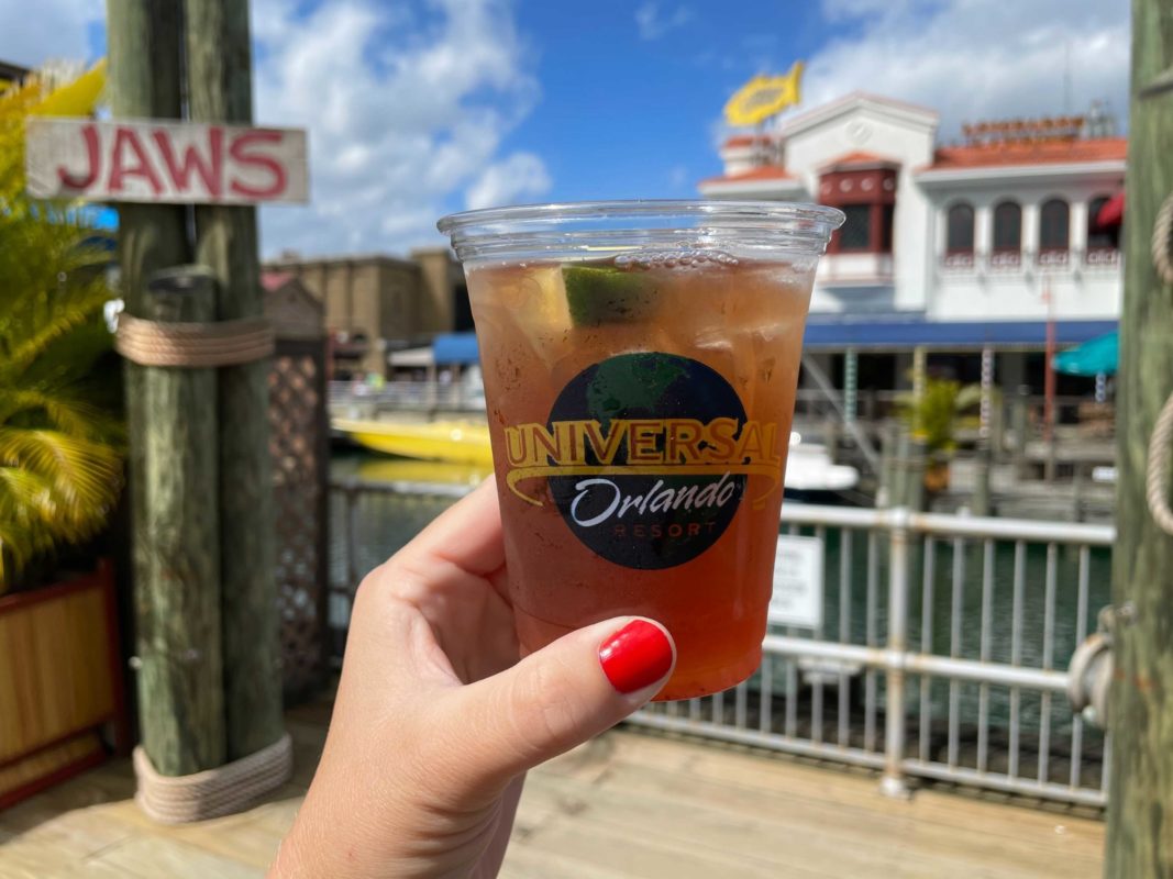 passholder-caribbean-berry-cooler