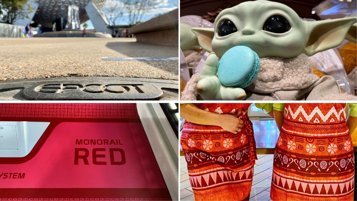 wdwnt-daily-recap-2-12-21