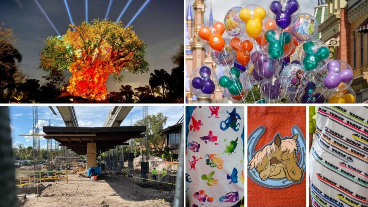 wdwnt-daily-recap-2-14-21
