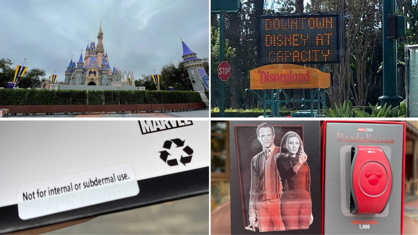 wdwnt-daily-recap-2-15-21