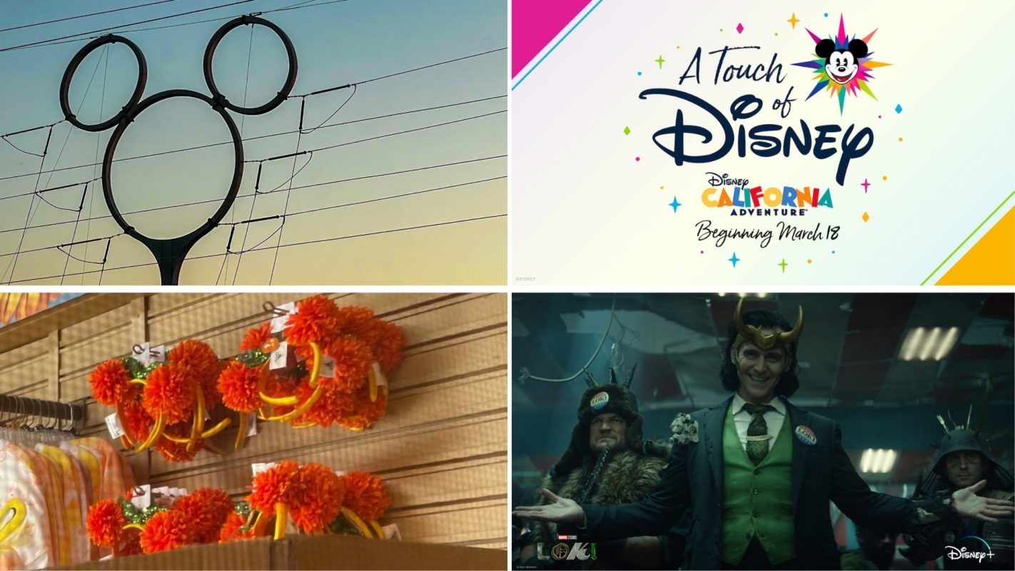 wdwnt-daily-recap-2-24-21