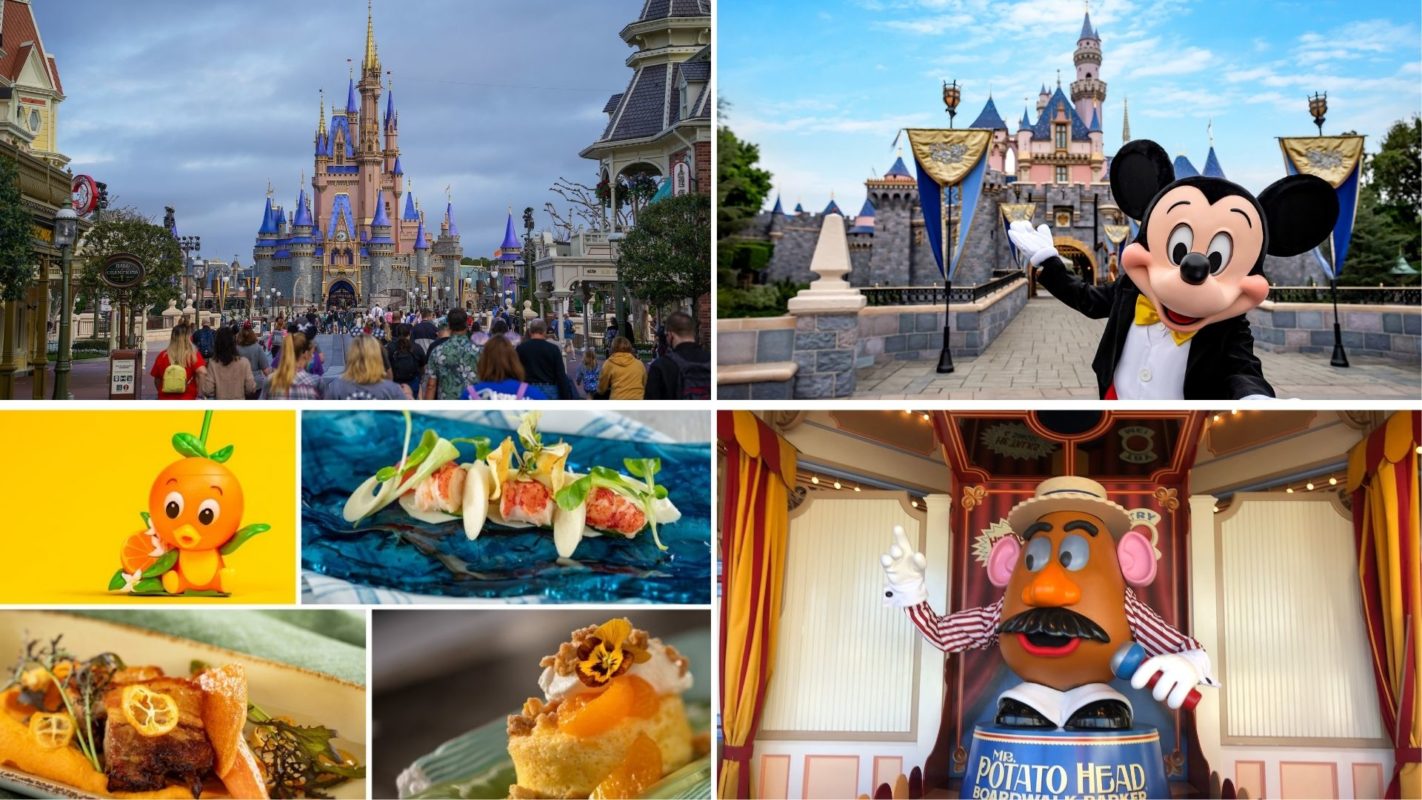 wdwnt-daily-recap-2-25-21