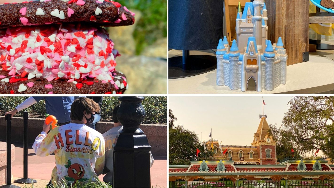 wdwnt-daily-recap-2-4-21