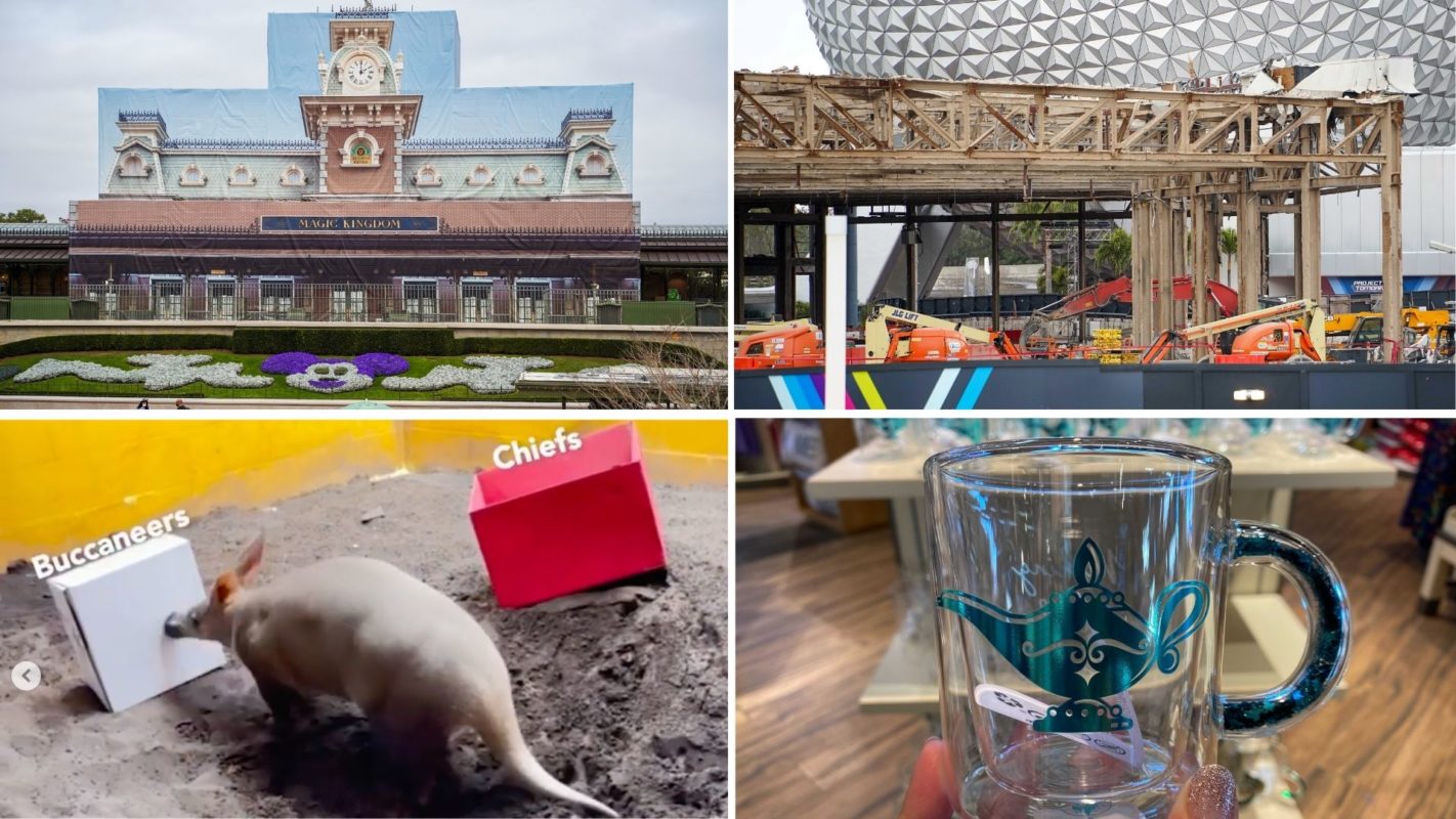 wdwnt-daily-recap-2-7-21